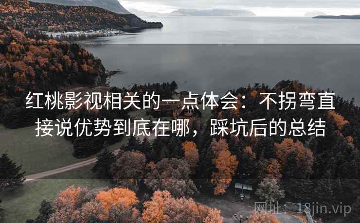 红桃影视相关的一点体会:不拐弯直接说优势到底在哪,踩坑后的总结 第1张 红桃影视相关的一点体会:不拐弯直接说优势到底在哪,踩坑后的总结 第1张