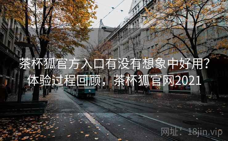 茶杯狐官方入口有没有想象中好用?体验过程回顾,茶杯狐官网2021
