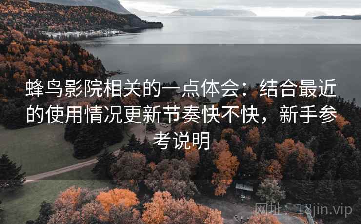 蜂鸟影院相关的一点体会：结合最近的使用情况更新节奏快不快，新手参考说明